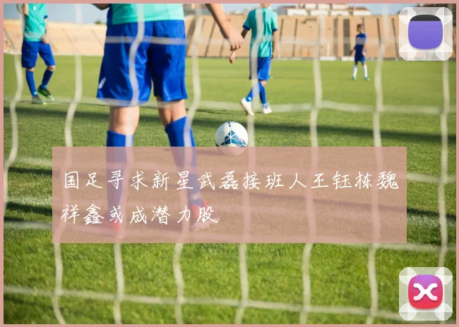 国足寻求新星武磊接班人王钰栋魏祥鑫或成潜力股